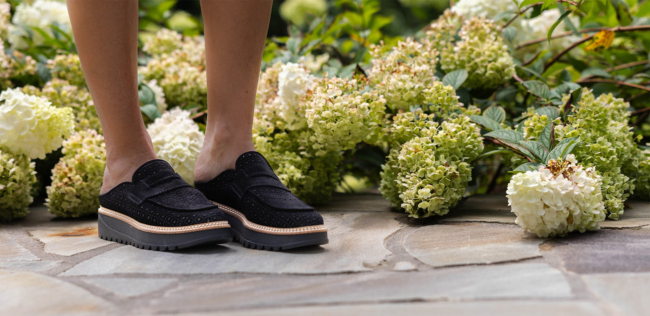 Collections – Rex Shoes
